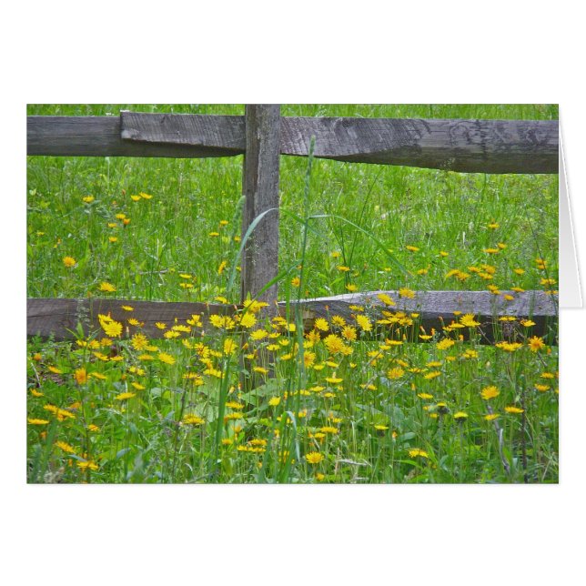 Hawkweed at Split Rail Fence一致アイテム (正面横)