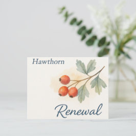 Hawthorn — Renewal ポストカード