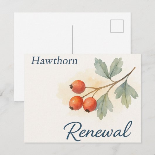 Hawthorn — Renewal ポストカード (正面/裏面)