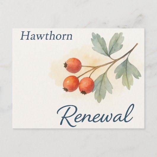 Hawthorn — Renewal ポストカード (正面)