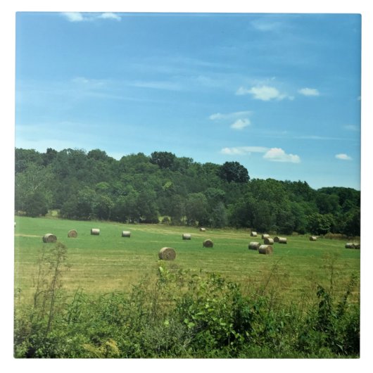 Hay Bales, Wytheville, Virginia タイル (正面)