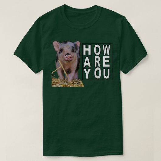 Hay How Are You Pig  Tシャツ (デザイン正面)