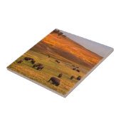 Haydenの谷で丘で牧草を食べるバイソン タイル (側面)