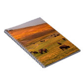 Haydenの谷で丘で牧草を食べるバイソン ノートブック (右側)