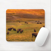 Haydenの谷で丘で牧草を食べるバイソン マウスパッド (マウス)