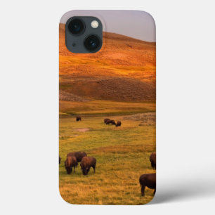Haydenの谷で丘で牧草を食べるバイソン iPhone 13ケース