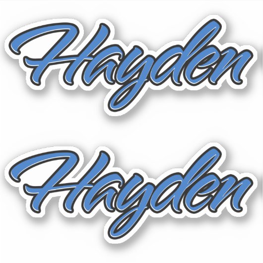 Hayden Name blue Aufkleber Sticker Stickerset シール (正面)