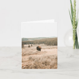 Hayden Valley -- 4" x 5.6" Notecard カード