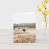 Hayden Valley -- 4" x 5.6" Notecard カード (黄色い花)