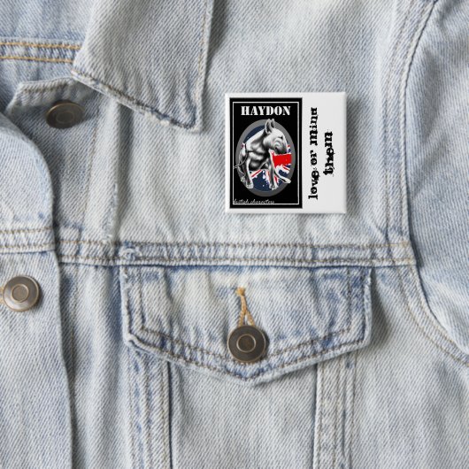 Haydon Pin 缶バッジ (インサイチュ)