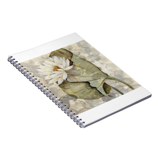 HAZ23 Amazonia 1.tif ノートブック (右側)