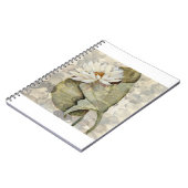 HAZ23 Amazonia 1.tif ノートブック (左側)