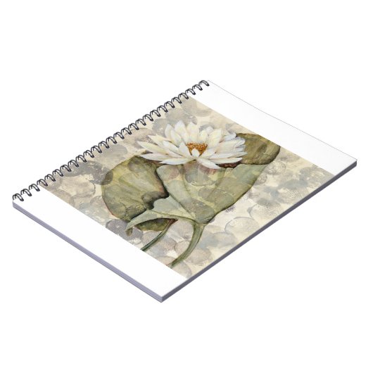 HAZ23 Amazonia 1.tif ノートブック (左側)