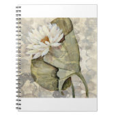 HAZ23 Amazonia 1.tif ノートブック (正面)