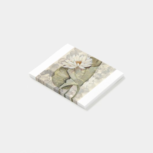 HAZ23 Amazonia 1.tif ポストイット (アングル)