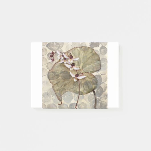 HAZ24 Amazonia 2.tif ポストイット (正面)