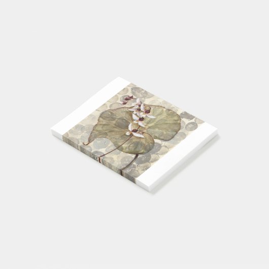 HAZ24 Amazonia 2.tif ポストイット (アングル)