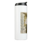 HAZ25 Amazonia 3.tif タンブラー (回転左)