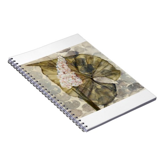 HAZ25 Amazonia 3.tif ノートブック (右側)