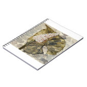 HAZ25 Amazonia 3.tif ノートブック (左側)