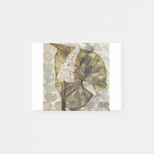 HAZ25 Amazonia 3.tif ポストイット (正面)