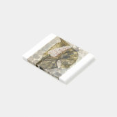 HAZ25 Amazonia 3.tif ポストイット (アングル)