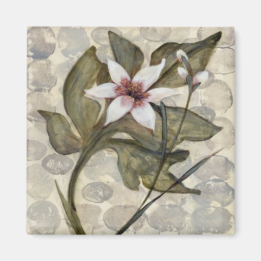 HAZ26アマゾニア4.tif マグネット (正面)