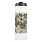 HAZ26 Amazonia 4.tif タンブラー (正面)