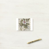 HAZ26 Amazonia 4.tif ポストイット (デスク上)