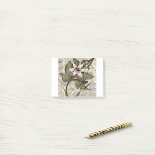 HAZ26 Amazonia 4.tif ポストイット (デスク上)