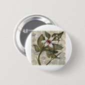 HAZ26 Amazonia 4.tif 缶バッジ (正面&裏面)