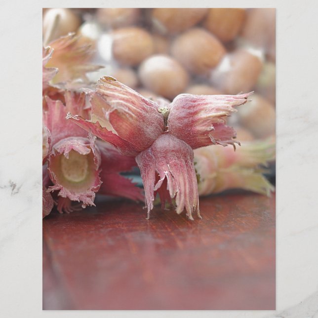 Hazelnuts.JPG (正面)