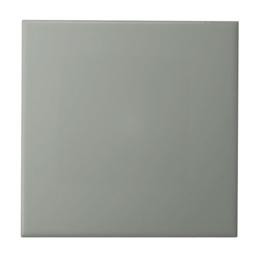 Hazy Acacia Green Square Kitchen and Bathroom タイル (正面)