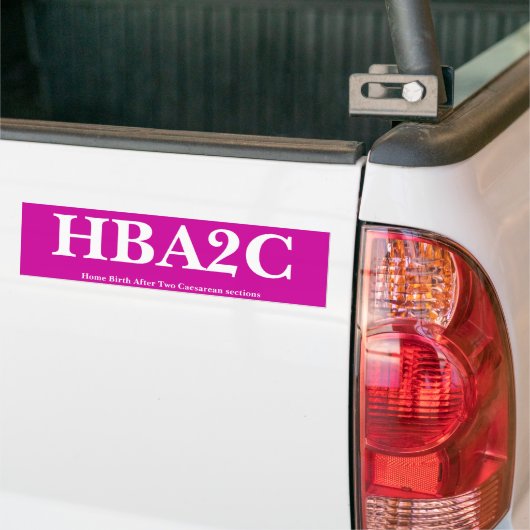 HBA2C バンパーステッカー (トラック上)