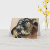 HBD-Tazzie 9055 カード (黄色い花)