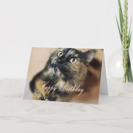 HBD-Tazzie 9055 カード (正面)