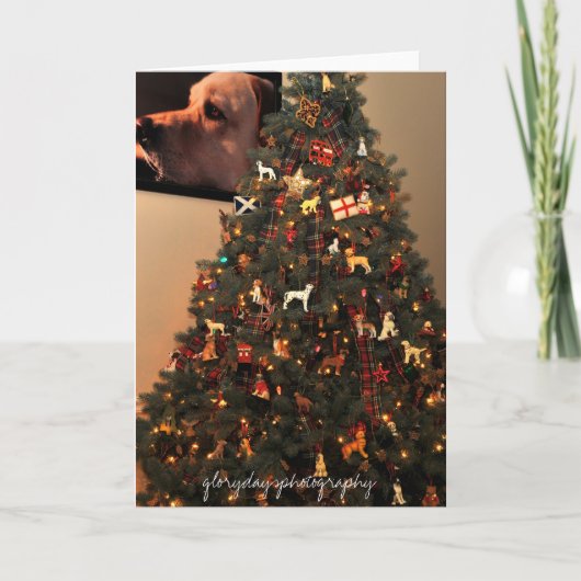 HCD_2846、グリーデイスフォトグラフィ シーズンカード (正面)