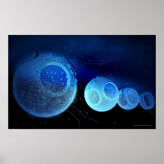 HDLの発光イラストレーション ポスター (正面)