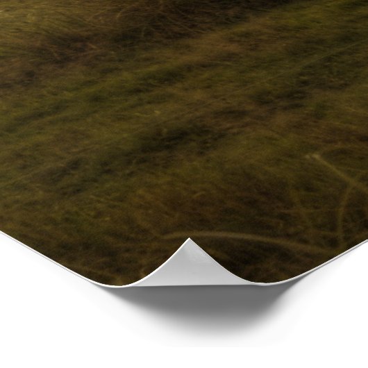 HDR横 ポスター (角)