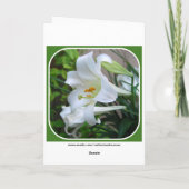 He is Risen, Easter Blessings, White Lily シーズンカード (裏面)