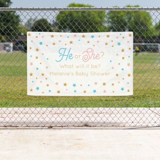 He or She Stars Gender Reveal backdrop 横断幕 (インサイチュ)