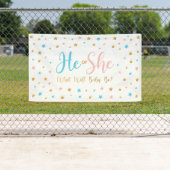 He or She Stars Gender Reveal banner sign  横断幕 (インサイチュ)