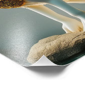 HEAモーツハレアイランドコンチネンタルビーレムリア フォトプリント            (角)