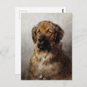 Head of a Leonberger Dog Painting ポストカード (正面/裏面)
