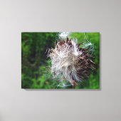 Head Of Bull Thistle  キャンバスプリント (正面)