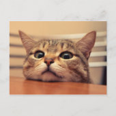 Head on table ポストカード (正面)