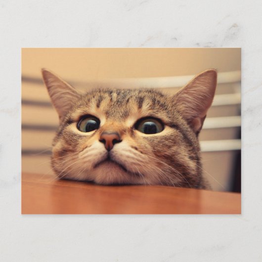 Head on table ポストカード (正面)