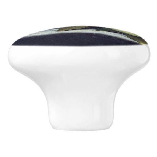 Headeのマグノリアによっては静物画の絵画のノブが開花します セラミックノブ (側面)