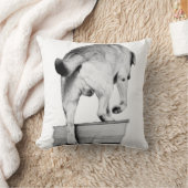 Heading Into Harvest Nights クッション (ブランケット)