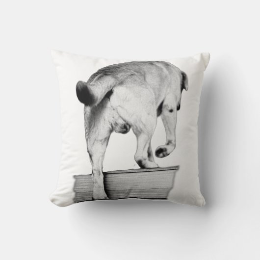 Heading Into Harvest Nights クッション (正面)